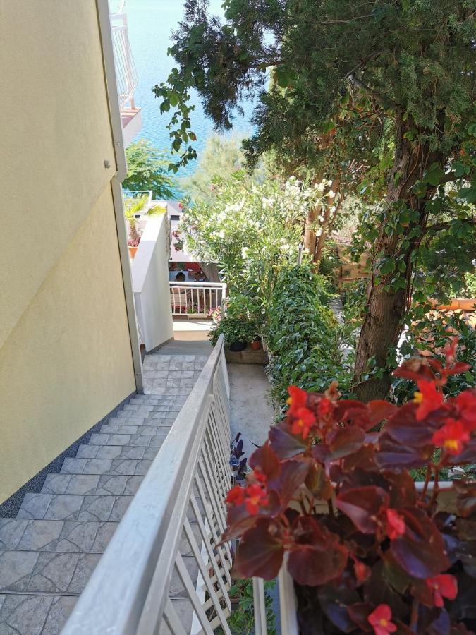 Apartments Ljiljana 克勒克 外观 照片